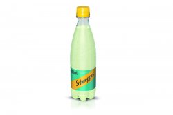 Schweppes Bitter lemon image