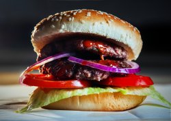 Double Hamburger image