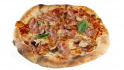Pizza porcini single image