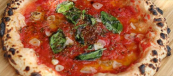 Pizza Marinara  image