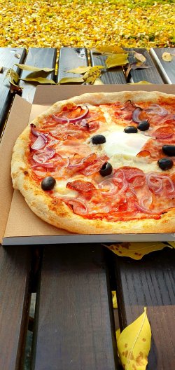 Rustica image