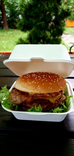Spicy Burger image