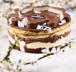Tort Bounty image