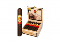 Aurora and Robusto