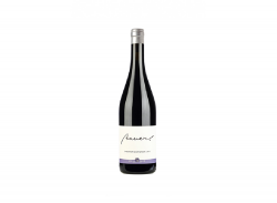 Bauer Cabernet Sauvignon 2017