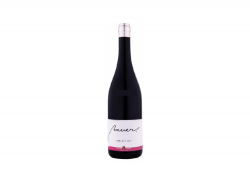 Bauer Merlot 2017