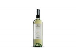 Dorvena Pinot Gris