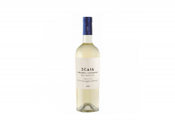 Scaia Garganega Chardonnay