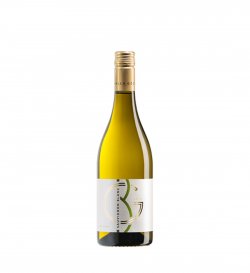 WINE PRINCESS – Sauvignon blanc 75 CL 13.5%