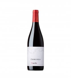 CORCOVA - Pinot Noir Reserve 75 CL 13%