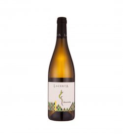 LACERTA - Rheinriesling 75 CL 13.2%