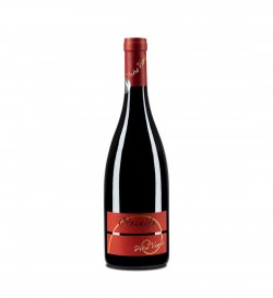 PETRO VASELO OTARNITA – Pinot Noir 75 CL 13.5% ECO