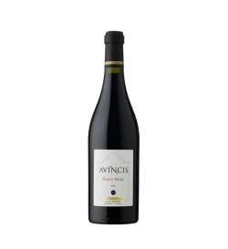 AVINCIS – Pinot Noir 75 CL 13%