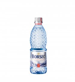 BORSEC 0.50L PLATA FL