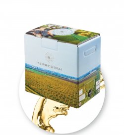TERRE DI RAI SAUVIGNON BLANC 500 CL 11%