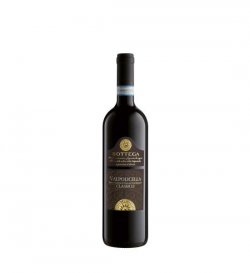 BOTTEGA 0.75L VALPOLICELLA CLASSICO