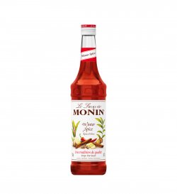 MONIN 0.70L WINTER SPICE