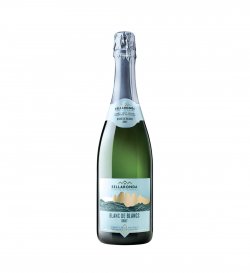 SELLARONDA BLANC DE BLANCS BRUT VIGNETI DELLE DOLOMITI 0.75L