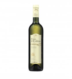 SANZ 1.50L FINCA LA COLINA VERDEJO 13%