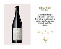 DORVENA PREMIUM PINOT NOIR 0.75L
