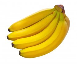 Fructe