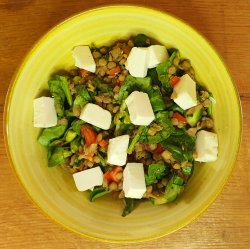 Salata cu linte verde germinata si brawnza din caju - fara gluten, vegan / de post image
