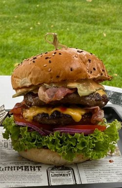Burger twins image