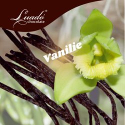 Înghețată Luadó de vanilie image