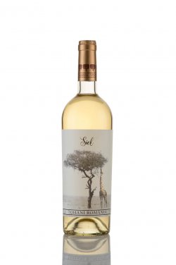 Vinuri-Tohani