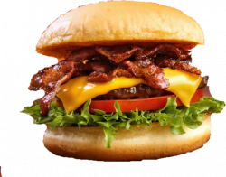 Spicy burger image