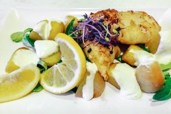 Calamari la grătar și cartofi cu sos alioli image