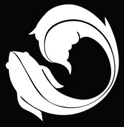 Sos Kimchi image