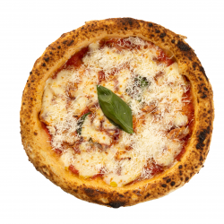 Pizza Amatriciana image
