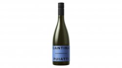 Puiatti Sauvignon Blanc image