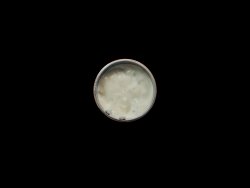 Sos gorgonzola image