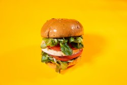 Burger Vegetarian / The vegetarian dream  image