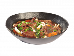 Beef Udon Soup image