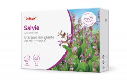 Dr.Max Drajeuri cu salvie 24drj