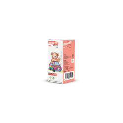 Picături pentru greață și vărsături Nausolvit, 20 ml, Dr. Phyto