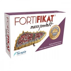 Sistem digestiv