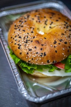 Fresh Bagel image