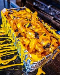 Animal Style Fries image