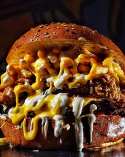 The don`t be an idiot burgr image