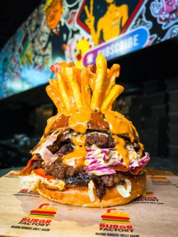 Bogdan Mocanu Burgr Star image