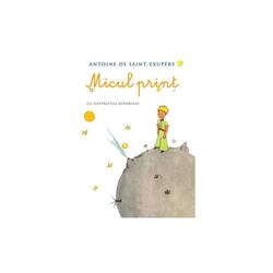 Micul Print