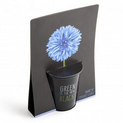 Kit complet pentru plantat cu seminte de albastrea - Green is the New Black