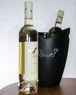 2 Liliac Sauvignon Blanc + o frapiera CADOU