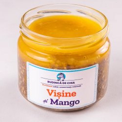 Budinca Chia cu Vișine și Mango [De Post]  image