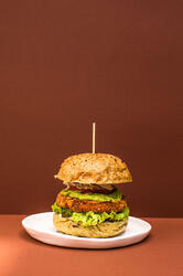 Unison Vegan Burger 300g image