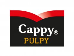 Cappy Pulpy Grapefruit image
